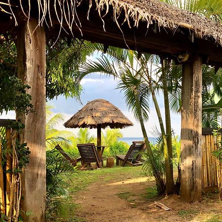 Palmlea Farms Lodge & Bures - Villas Лабаса Экстерьер фото