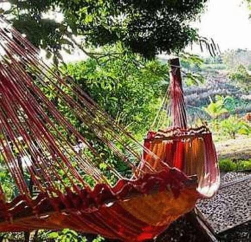 Palmlea Farms Lodge & Bures - Villas Лабаса Экстерьер фото