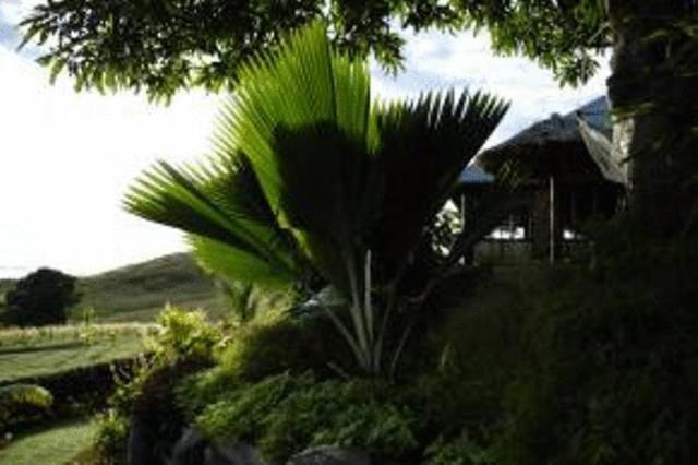 Palmlea Farms Lodge & Bures - Villas Лабаса Экстерьер фото