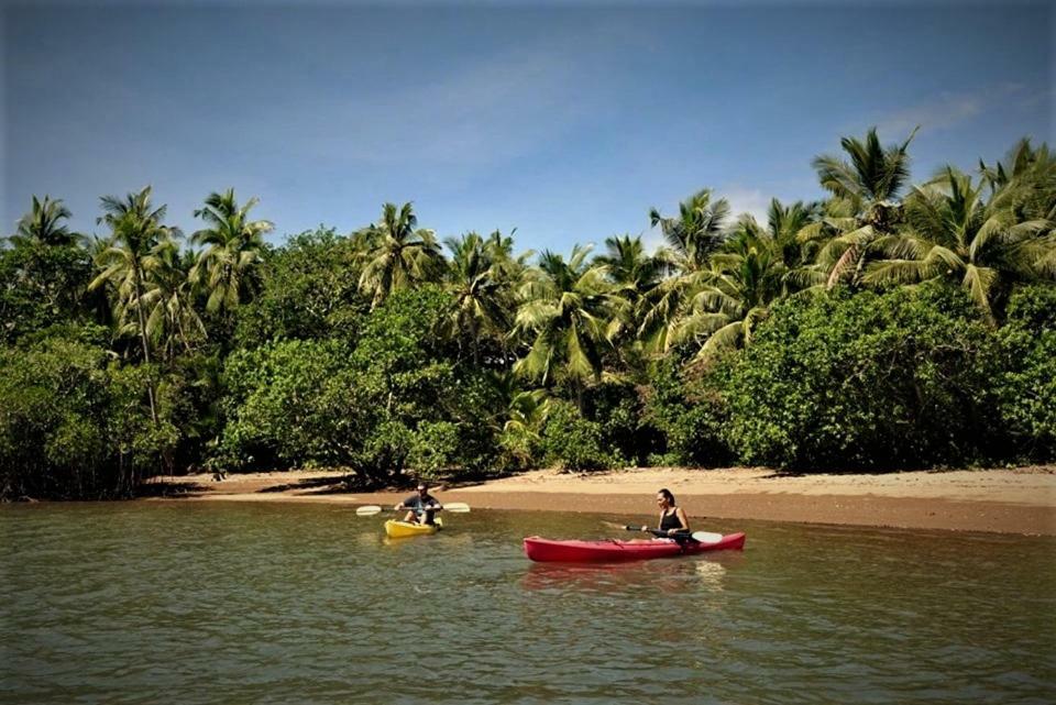 Palmlea Farms Lodge & Bures - Villas Лабаса Экстерьер фото